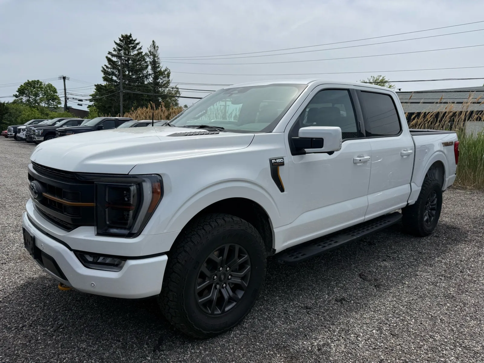 2023 Ford F-150 Tremor for sale in Troy, MI