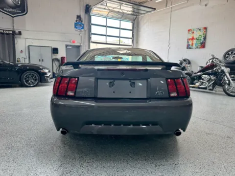 More photos of 2003 Ford Mustang Mach 1 at City of Cars, MI