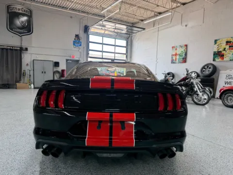 More photos of 2019 Ford Mustang GT Premium at City of Cars, MI