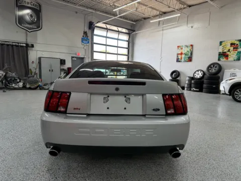 More photos of 2003 Ford Mustang Cobra at City of Cars, MI