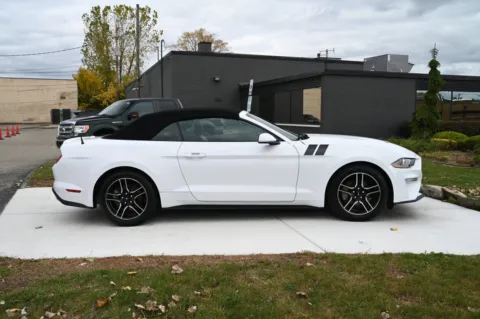 More photos of 2021 Ford Mustang EcoBoost Premium Convertible at City of Cars, MI