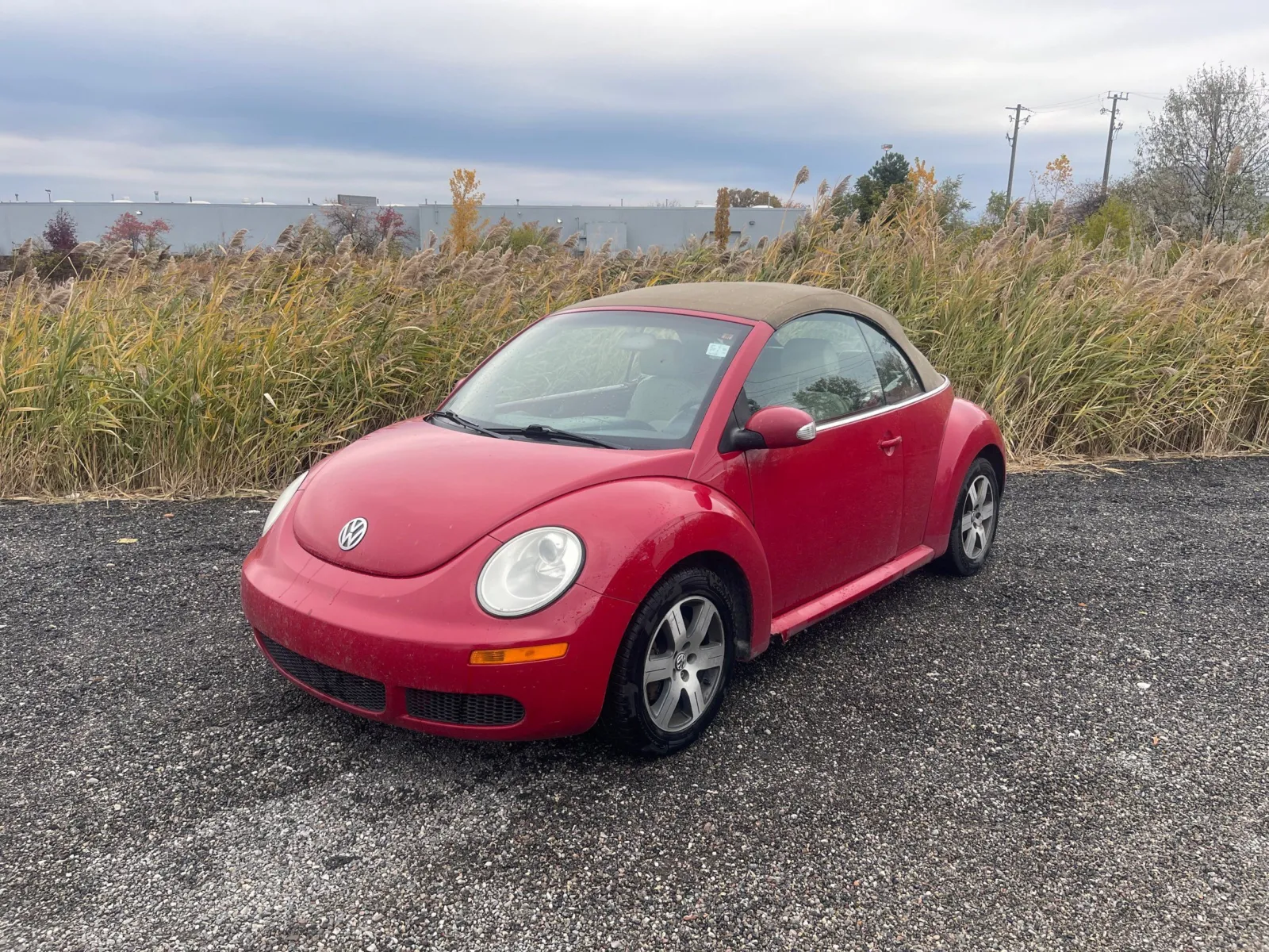 Used 2006 Volkswagen New Beetle 2.5 for sale in Troy, MI at City