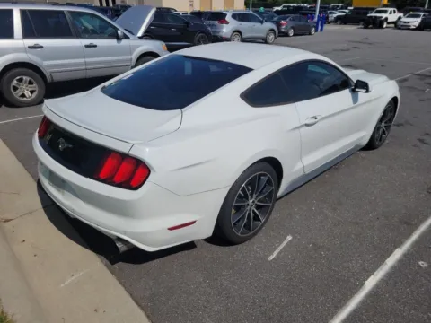 Another view of 2015 Ford Mustang EcoBoost for sale in Maryville, TN at Auto Solutions