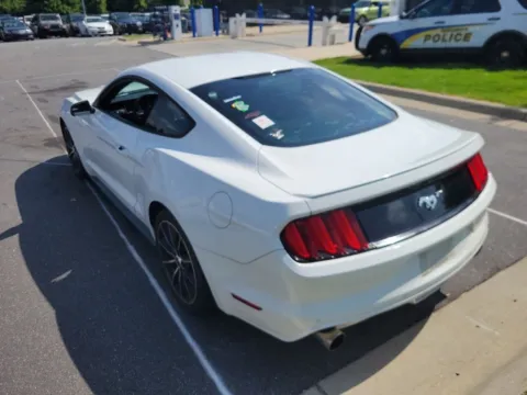 More photos of 2015 Ford Mustang EcoBoost at Auto Solutions, TN