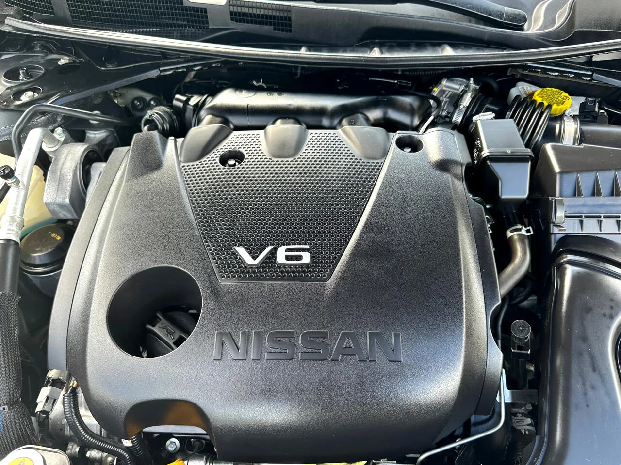 View 51