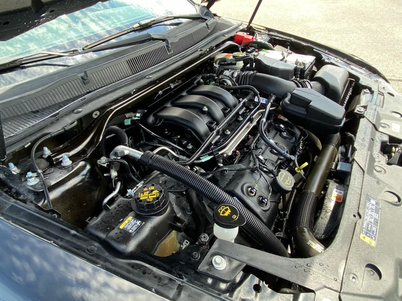 Photo 48