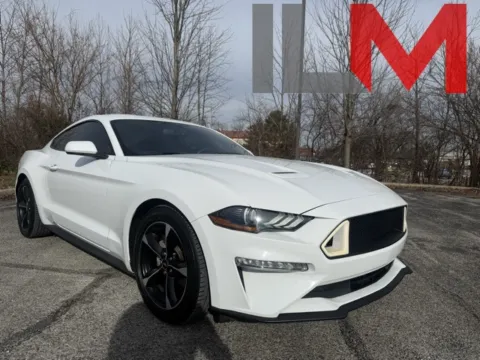 White 2019 Ford Mustang EcoBoost for sale in Indianapolis, IN