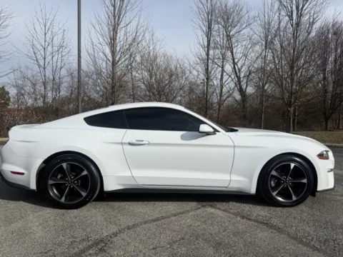 Photos of 2019 Ford Mustang EcoBoost for sale in Indianapolis, IN at Indy Luxury Motorsports