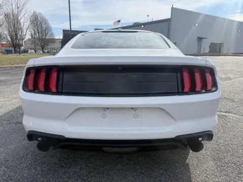 More photos of 2019 Ford Mustang EcoBoost at Indy Luxury Motorsports, IN