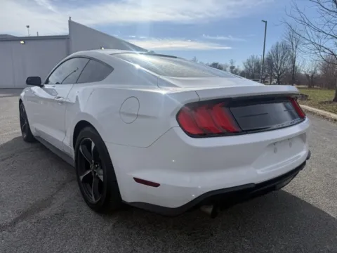 More photos of 2019 Ford Mustang EcoBoost at Indy Luxury Motorsports, IN
