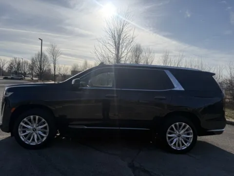 Another view of 2023 Cadillac Escalade Luxury for sale in Indianapolis, IN at Indy Luxury Motorsports