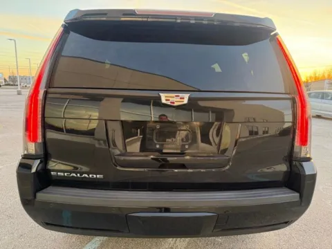 More photos of 2015 Cadillac Escalade Premium at Indy Luxury Motorsports, IN