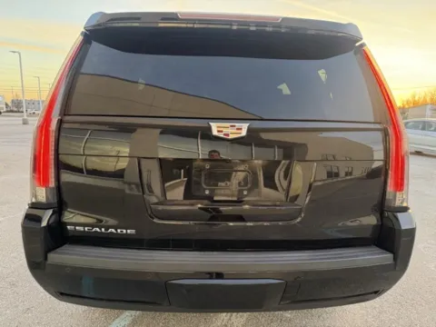 More photos of 2015 Cadillac Escalade Premium at Indy Luxury Motorsports, IN