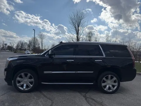More photos of 2019 Cadillac Escalade Luxury at Indy Luxury Motorsports, IN