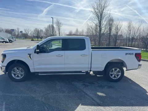 More photos of 2024 Ford F-150 XLT at Indy Luxury Motorsports, IN