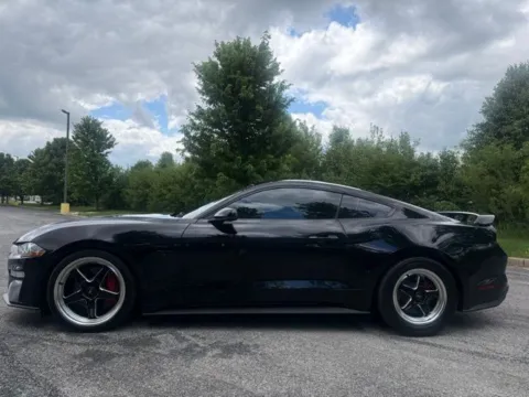 Another view of 2019 Ford Mustang GT Premium for sale in Indianapolis, IN at Indy Luxury Motorsports