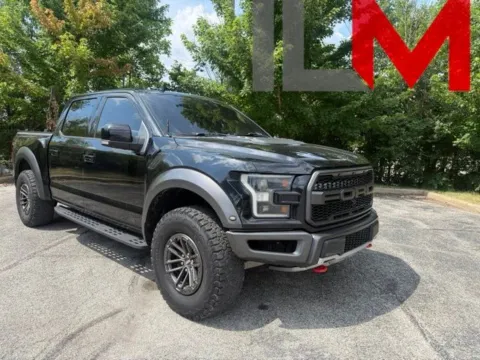 Black 2019 Ford F-150 Raptor for sale in Indianapolis, IN