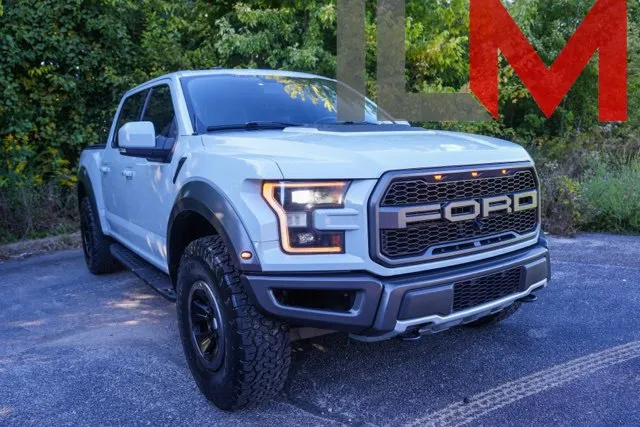 2017 Ford F-150 Raptor for sale in Indianapolis, IN