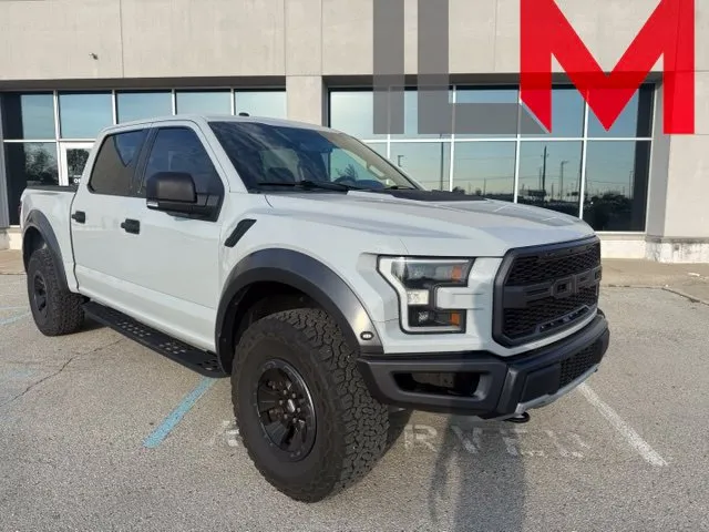 Gray 2017 Ford F-150 Raptor for sale in Indianapolis, IN