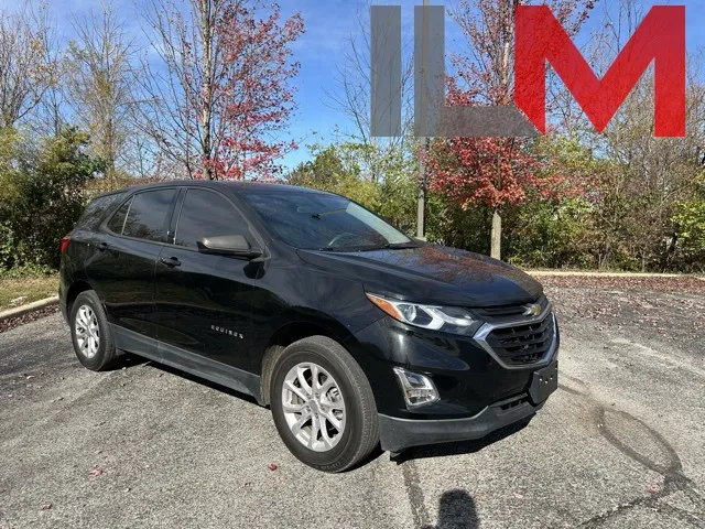 2019 Chevrolet Equinox LS for sale in Indianapolis, IN