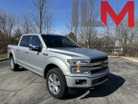 Silver 2019 Ford F-150 Platinum for sale in Indianapolis, IN