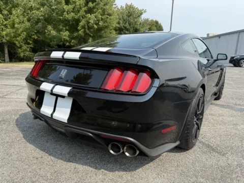 More photos of 2016 Ford Mustang Shelby GT350 at Indy Luxury Motorsports, IN