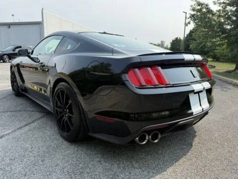 More photos of 2016 Ford Mustang Shelby GT350 at Indy Luxury Motorsports, IN