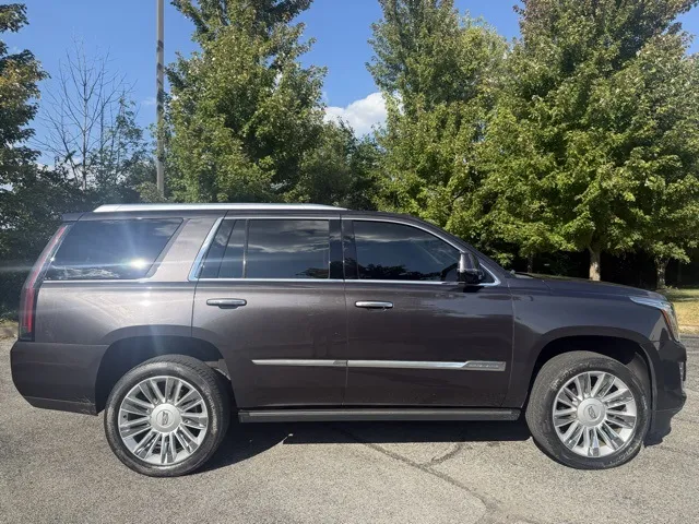 2015 Cadillac Escalade Platinum photo 10