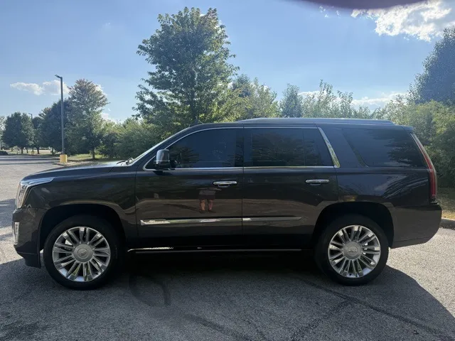 2015 Cadillac Escalade Platinum photo 20