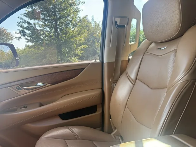 2015 Cadillac Escalade Platinum photo 19