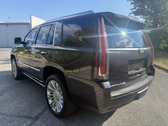 2015 Cadillac Escalade Platinum photo 11
