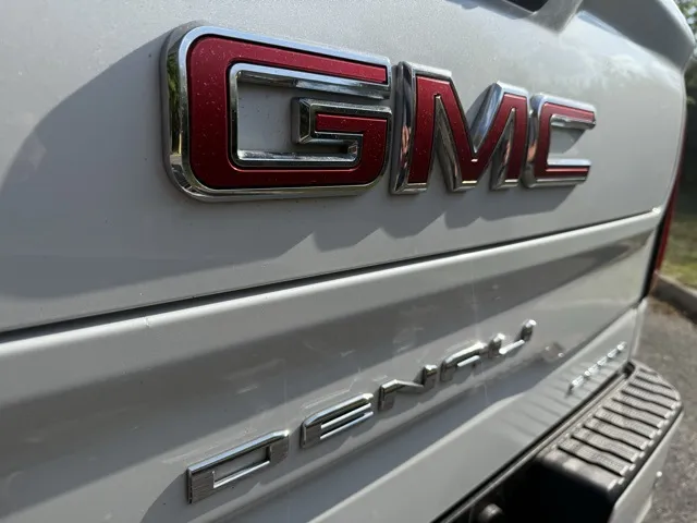 2019 Gmc Sierra Denali photo 15