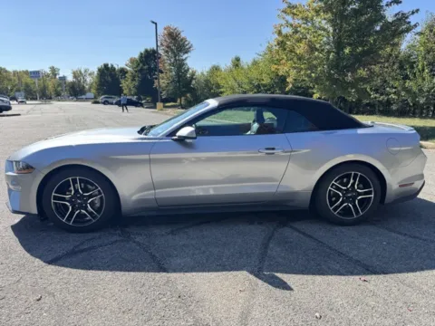 More photos of 2020 Ford Mustang EcoBoost Premium at Indy Luxury Motorsports, IN