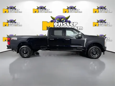 More photos of 2024 Ford F-250SD Platinum at Monster Motors - Knoxville, TN, TN