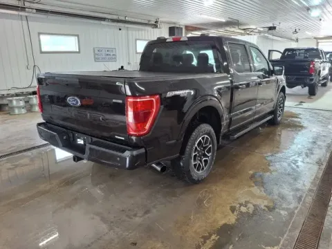 More photos of 2021 Ford F-150 XLT at Monster Motors - Knoxville, TN, TN