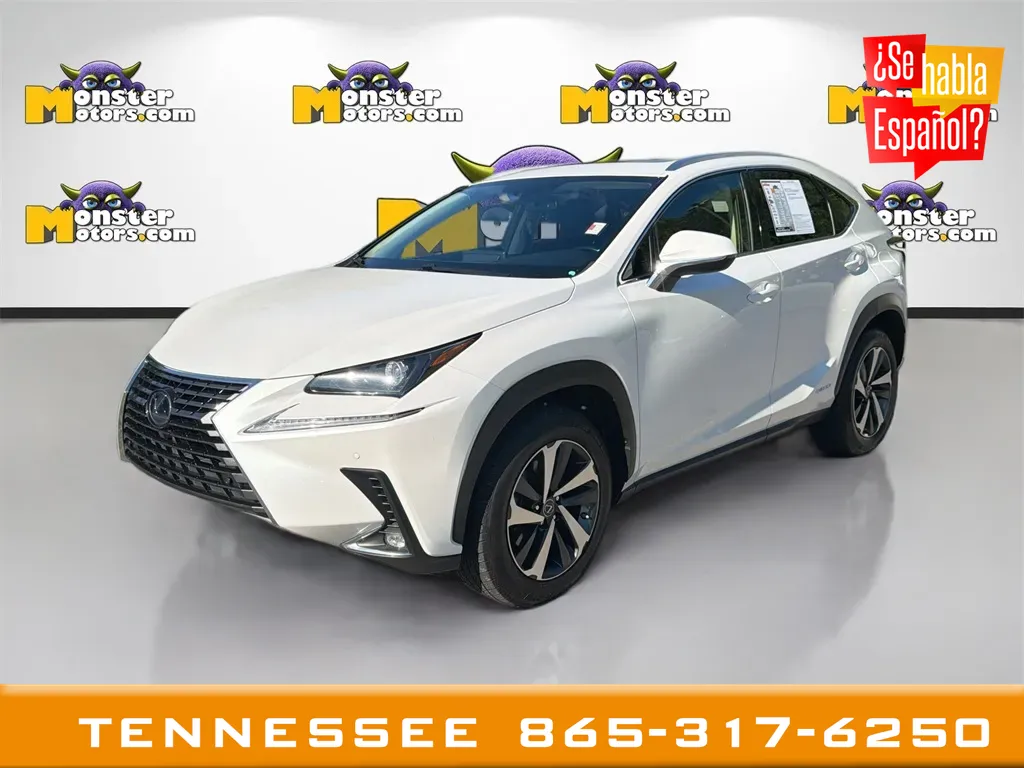 2020 Lexus NX Hybrid 300h