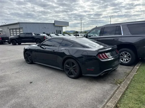 Another view of 2019 Ford Mustang GT for sale in Louisville, TN at Monster Motors - Knoxville, TN