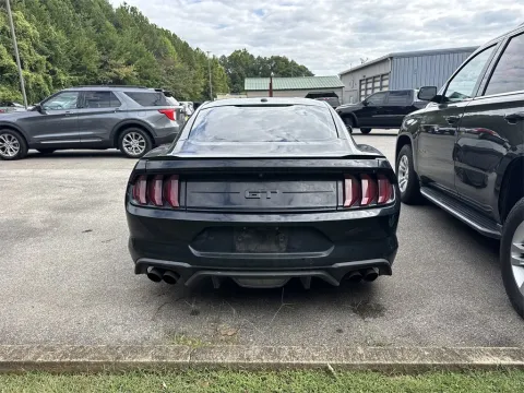 More photos of 2019 Ford Mustang GT at Monster Motors - Knoxville, TN, TN