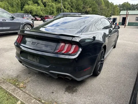 More photos of 2019 Ford Mustang GT at Monster Motors - Knoxville, TN, TN