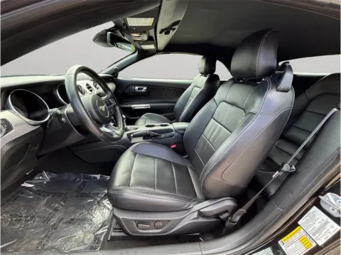 Photos of 2022 Ford Mustang EcoBoost Premium Convertible 2D for sale in Jacksonville, FL at Merit Auto Group Atlantic