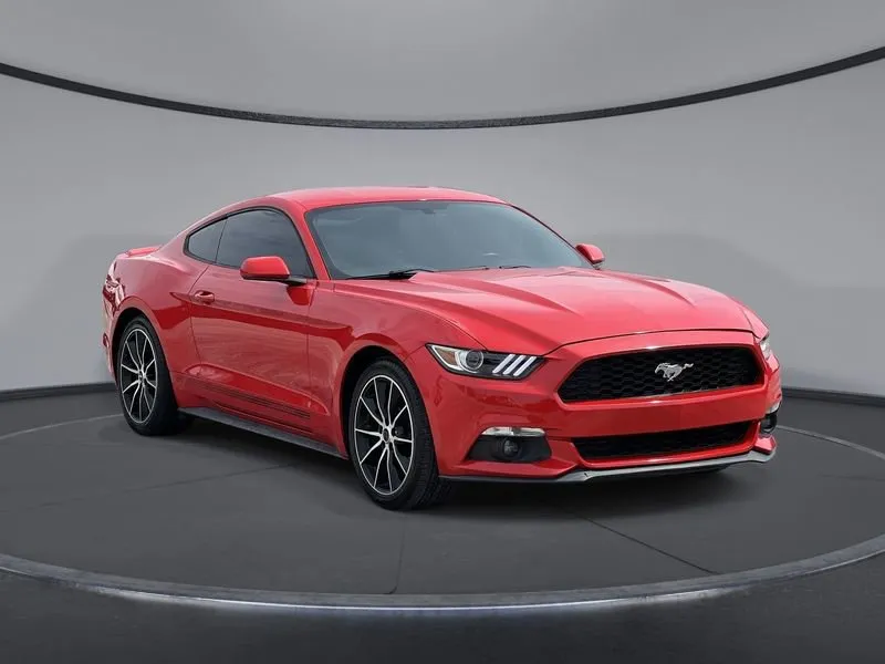 Sitemapcdatahttpsomobeldreferenzcomextraordinary 2017 Ford Mustang Ecoboost For Sale Gallery