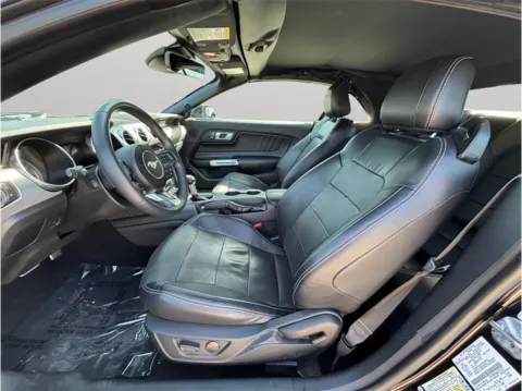 Photos of 2021 Ford Mustang GT Premium Convertible 2D for sale in Jacksonville, FL at Merit Auto Group Atlantic