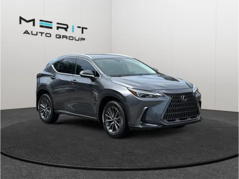 Gray 2022 Lexus NX 250 Sport Utility 4D for sale in Jacksonville, FL