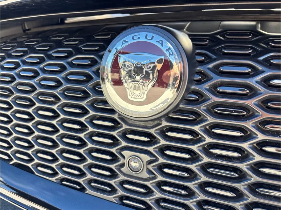 Jaguar I-PACE photo 14