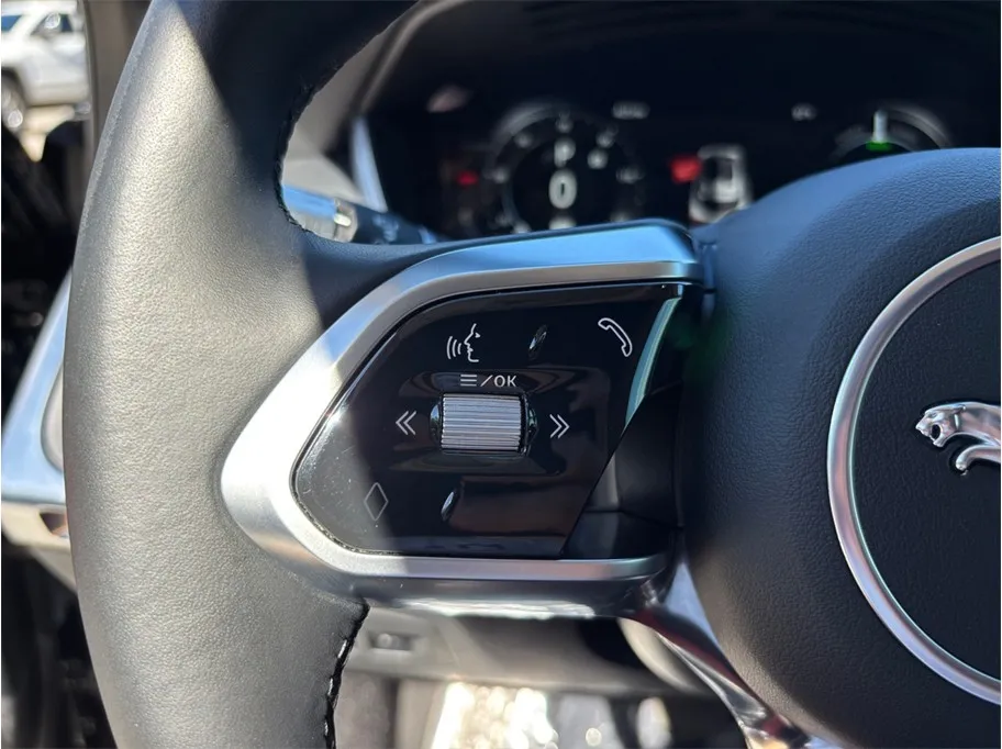 Jaguar I-PACE photo 25