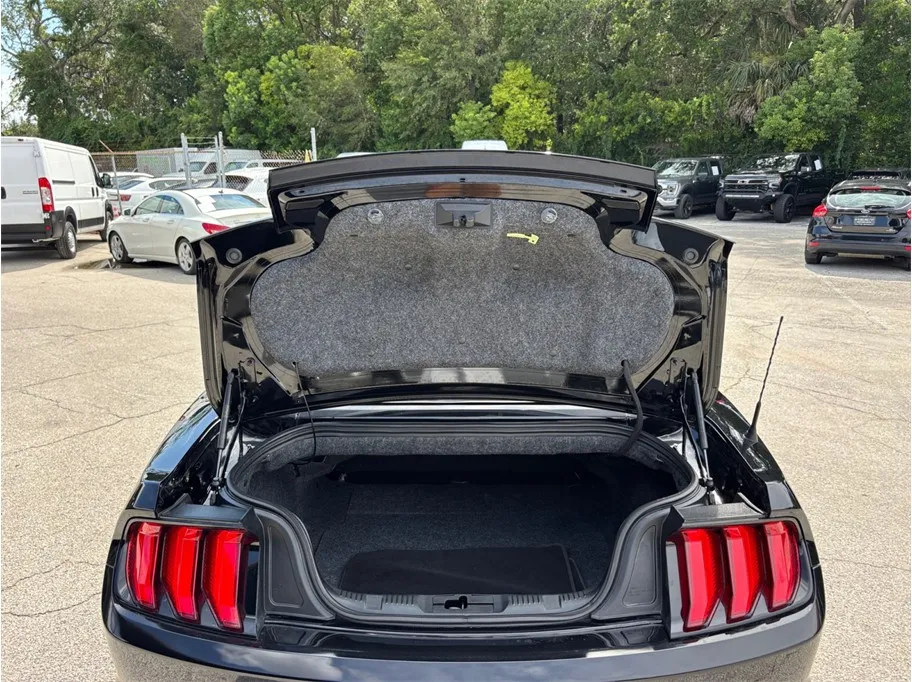 Ford Mustang photo 44