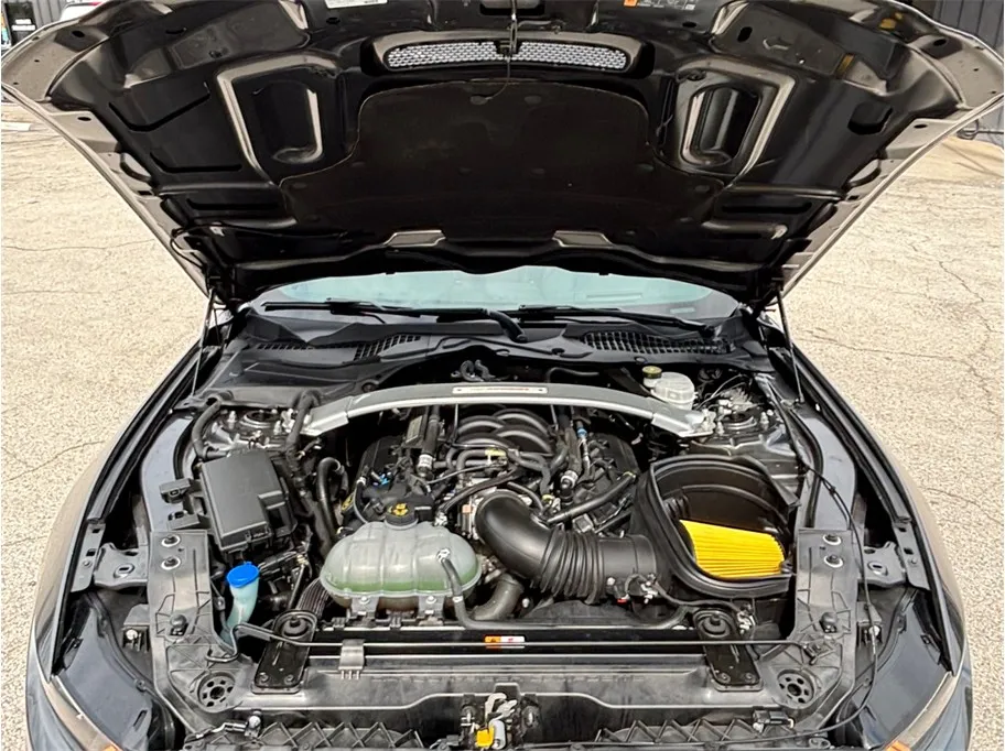 Ford Mustang photo 45