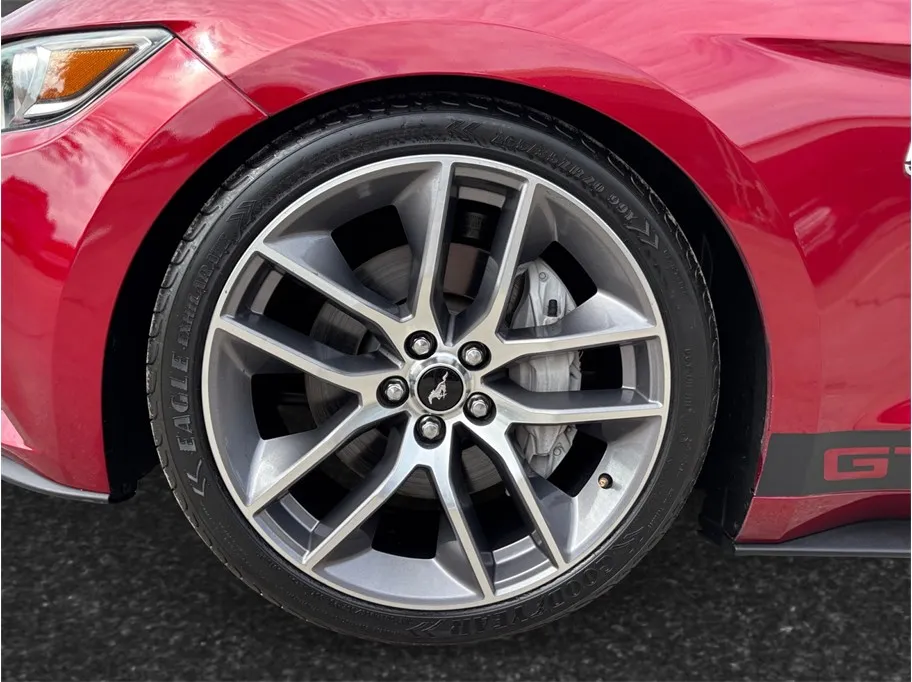 Ford Mustang photo 12
