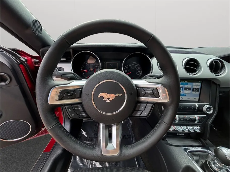 Ford Mustang photo 23