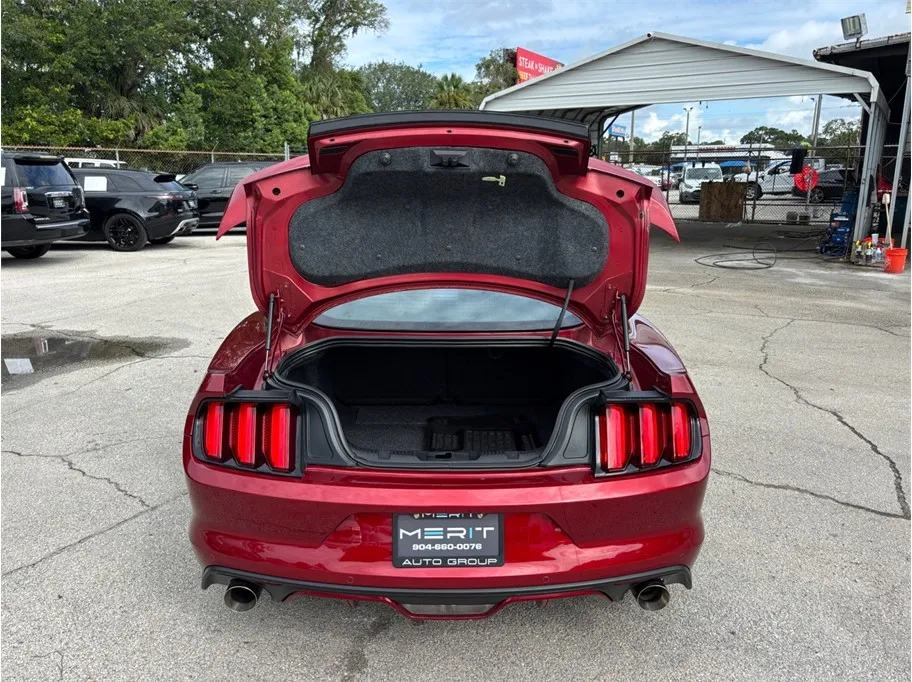 Ford Mustang photo 39